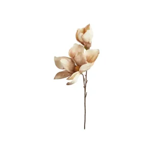Magnolia stilk 50cm